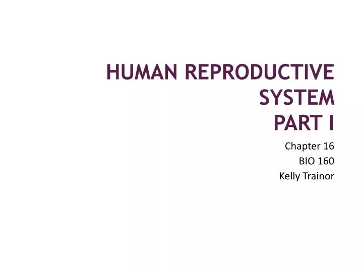 human reproductive system part i