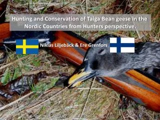 Hunting and Conservation of Taiga Bean geese in the Nordic Countries from Hunters perspective.