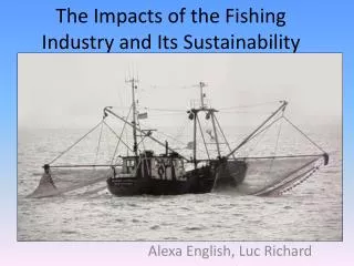 The Impacts of the Fishing Industry and Its Sustainability