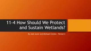 11-4 How Should We Protect and Sustain Wetlands ?