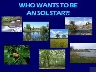 WHO WANTS TO BE AN SOL STAR?!