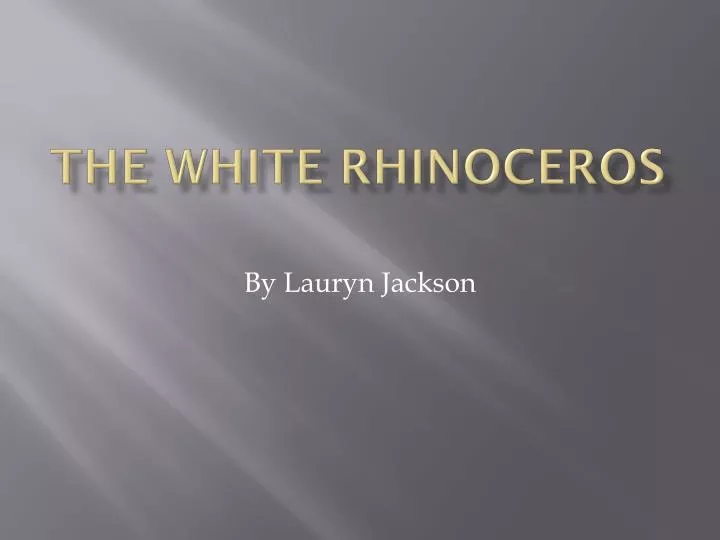 the white rhinoceros