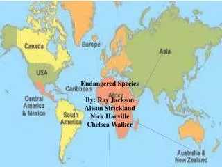 Endangered Species Around the World