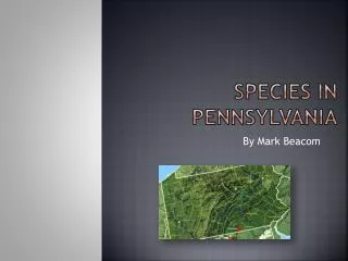 Species in Pennsylvania