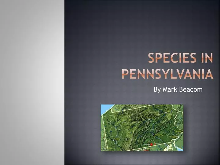 species in pennsylvania