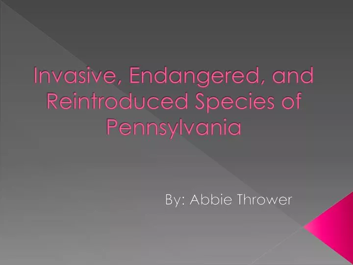 invasive endangered and reintroduced species of pennsylvania