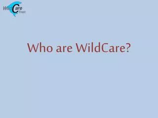 Who are WildCare ?