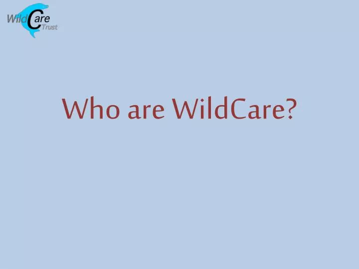 who are wildcare