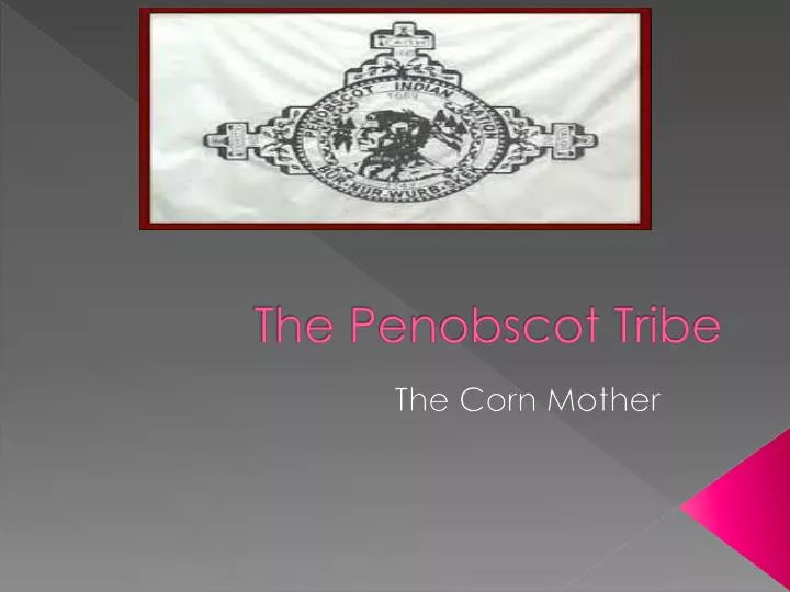 the penobscot tribe