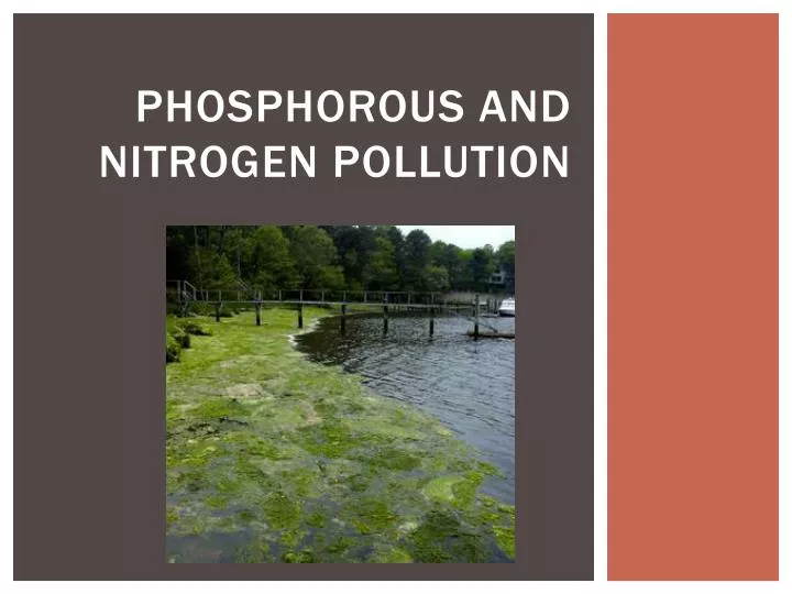 phosphorous and nitrogen pollution