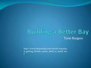Building a Better Bay