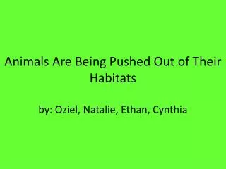 Animals Are Being Pushed Out of Their Habitats by: Oziel , Natalie, Ethan, Cynthia