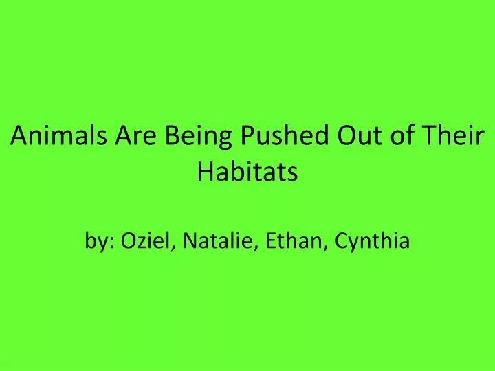 animals are being pushed out of their habitats by oziel natalie ethan cynthia