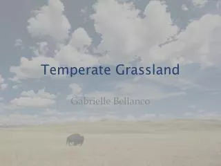 Temperate Grassland