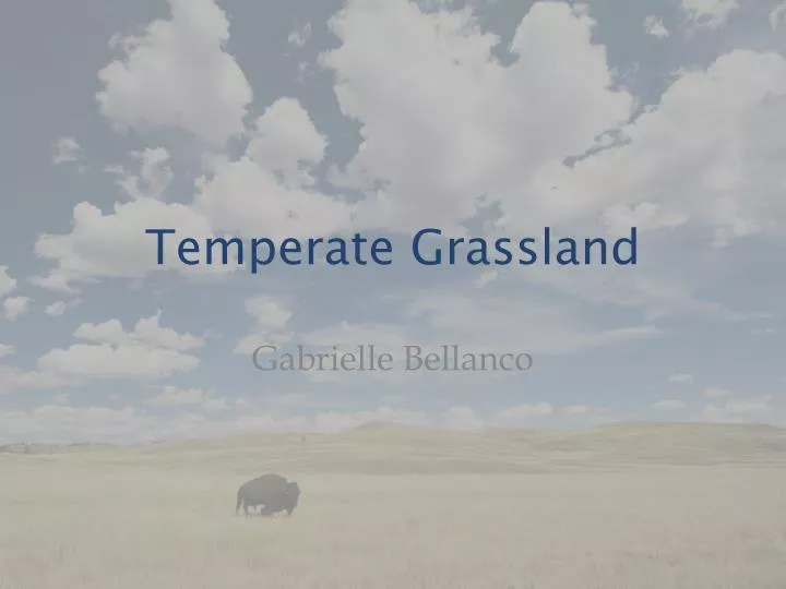 temperate grassland