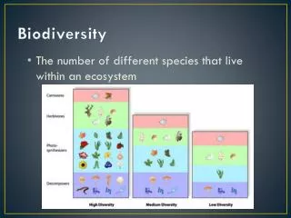 biodiversity