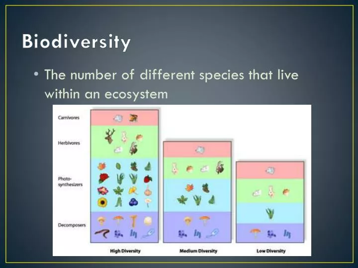 biodiversity