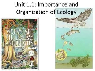 Unit 1.1: Importance and Organization of Ecology