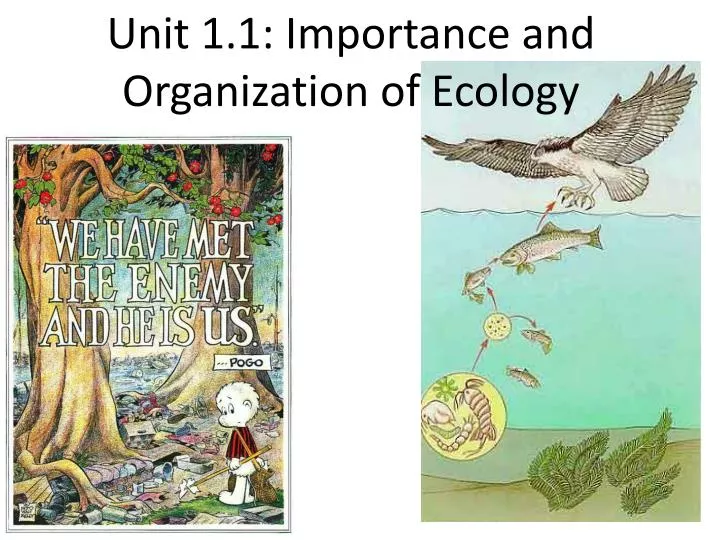 unit 1 1 importance and organization of ecology