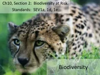 Biodiversity