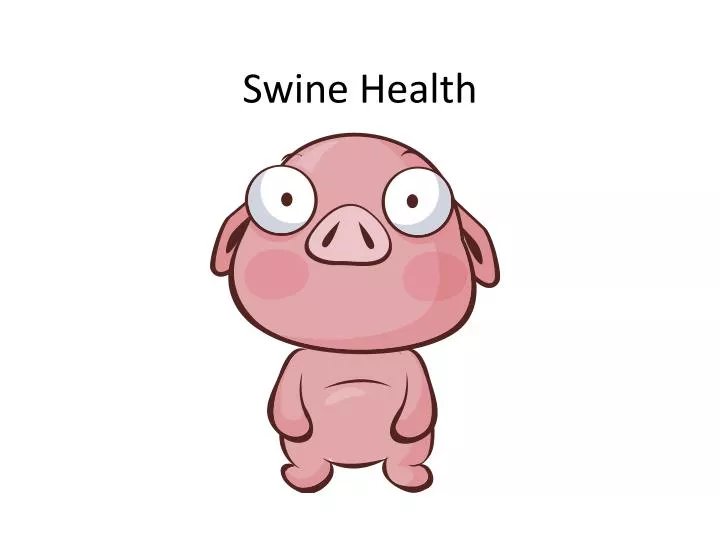 swine health