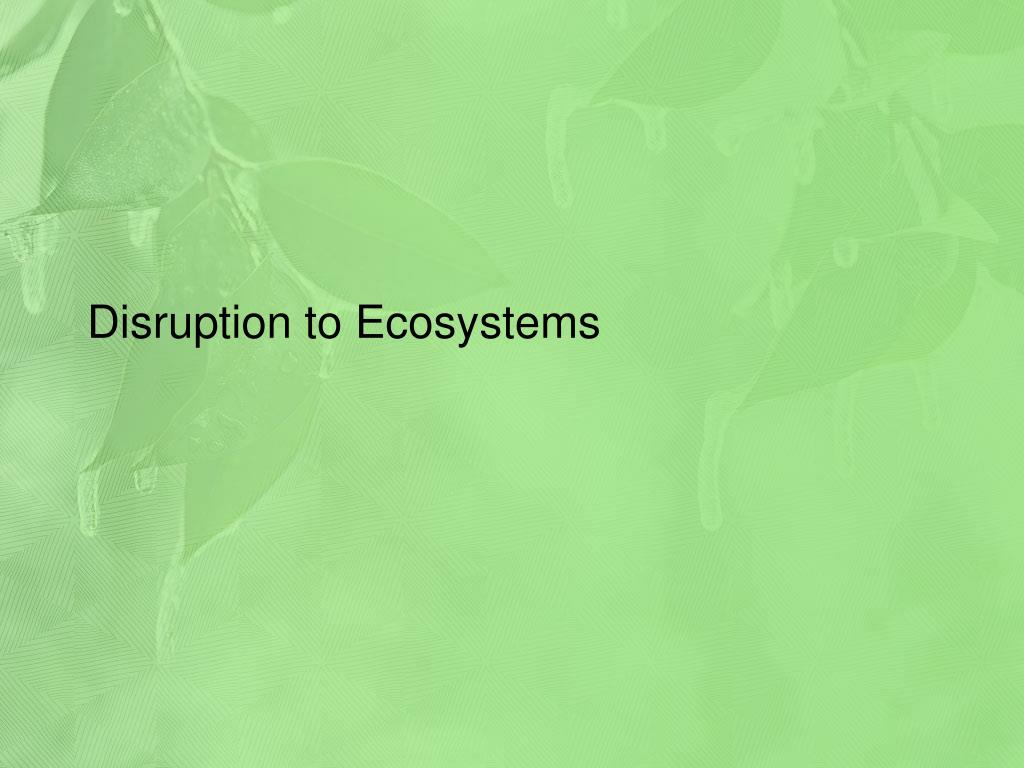 PPT - Disruption to Ecosystems: Energy and Nutrient Flows Essential for ...