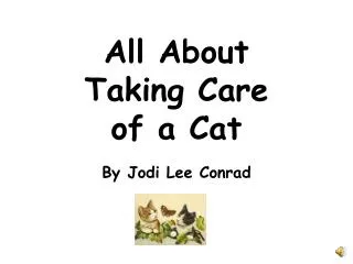 All About Taking Care of a Cat