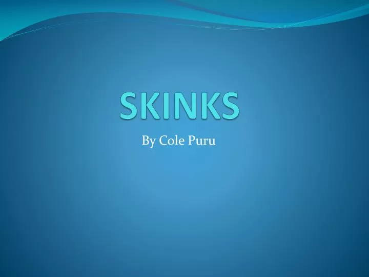 skinks