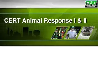 CERT Animal Response I &amp; II