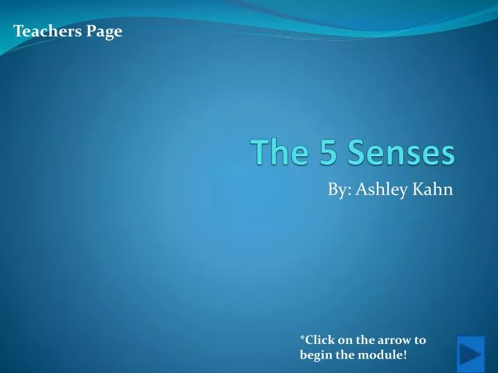 the 5 senses