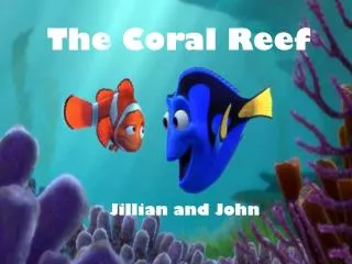 the coral reef