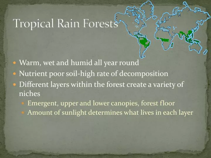 tropical rain forests