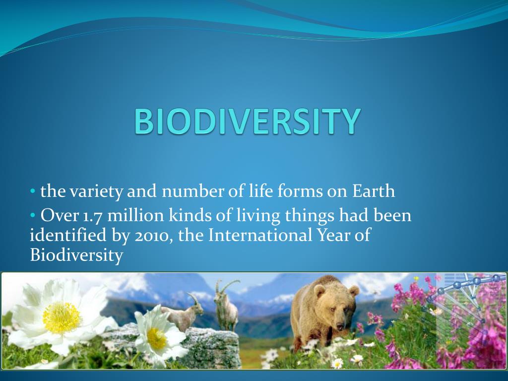 PPT - BIODIVERSITY PowerPoint Presentation, free download - ID:1957757