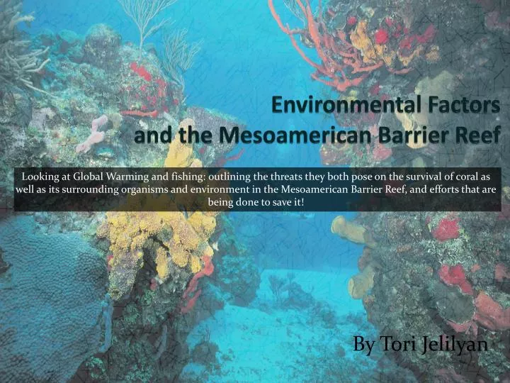 environmental factors and the mesoamerican barrier reef