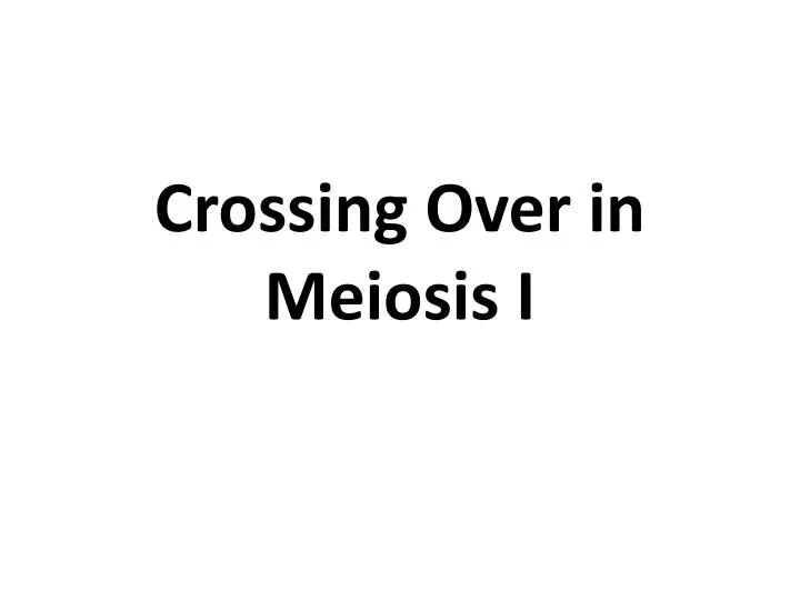 crossing over in meiosis i