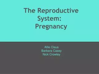 The Reproductive System: Pregnancy