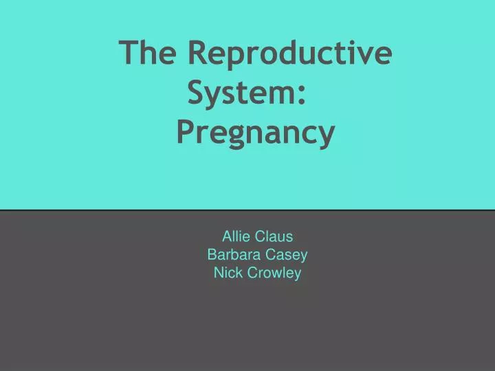 the reproductive system pregnancy
