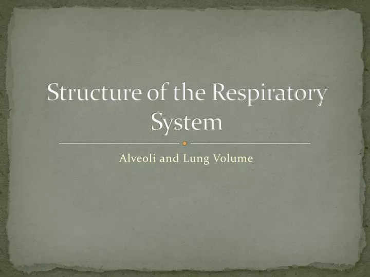 structure of the respiratory system
