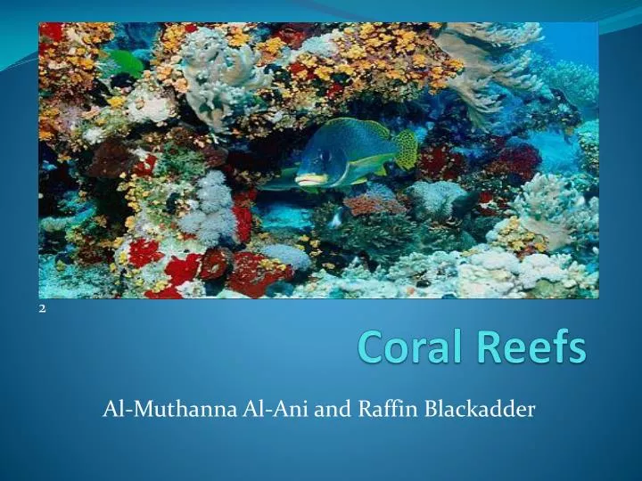 coral reefs