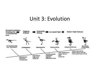 Unit 3: Evolution