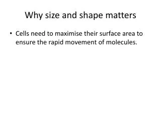 Why size and shape matters