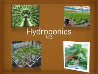 Hydroponics