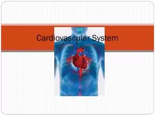 Cardiovascular System