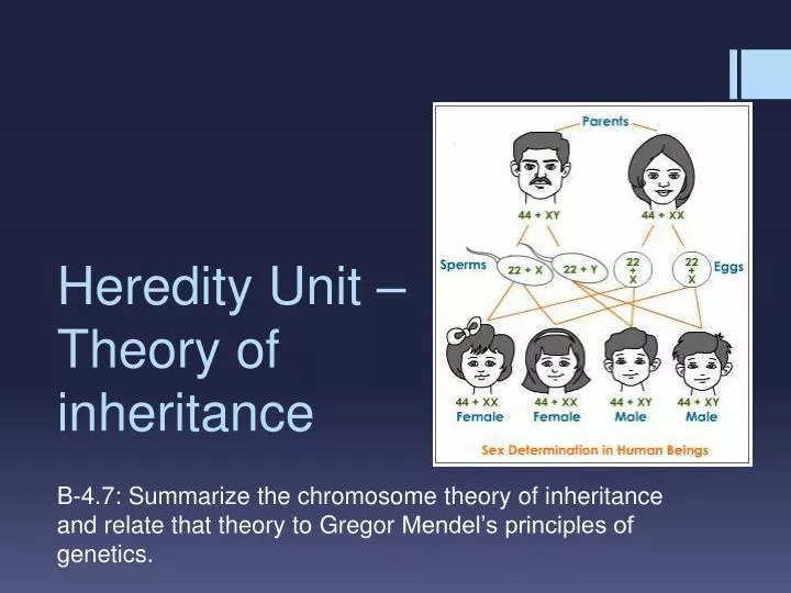 heredity unit theory of inheritance