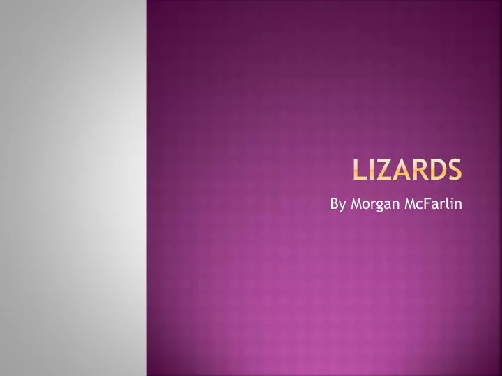 lizards