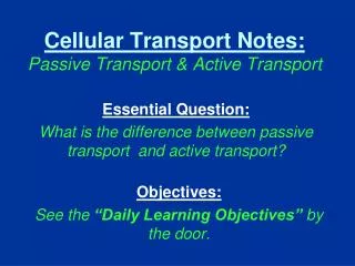 Cellular Transport Notes: Passive Transport &amp; Active Transport