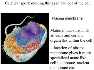 Cell Transport: moving things in and out of the cell