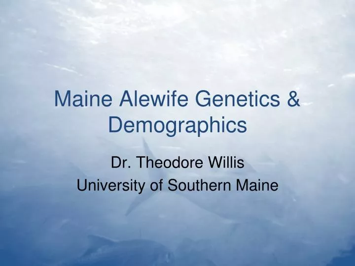 maine alewife genetics demographics
