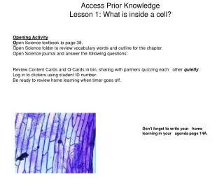 Access Prior Knowledge Lesson 1: What is inside a cell?