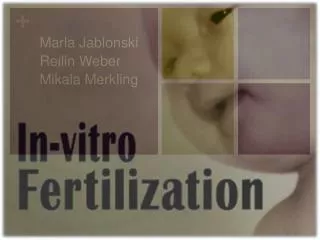 Marla Jablonski Reilin Weber Mikala Merkling